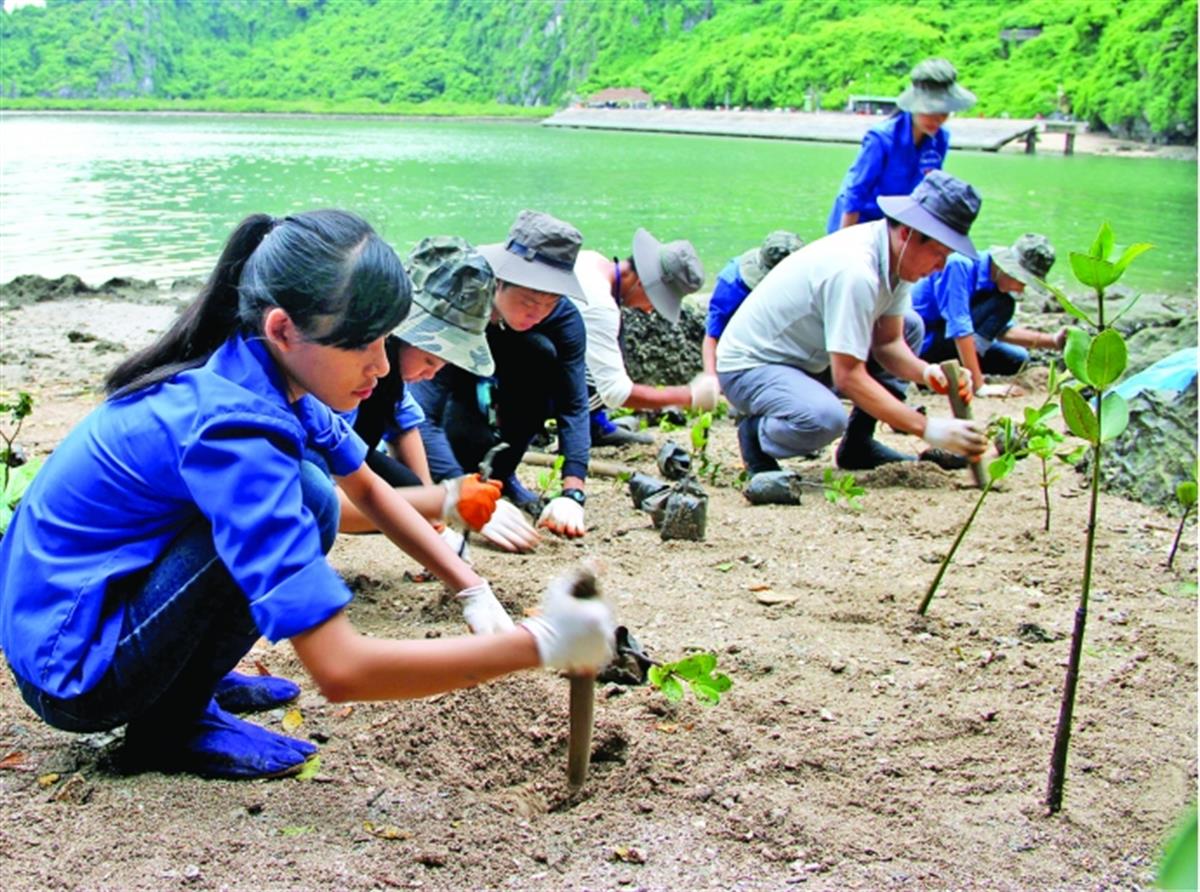 Phát động Liên hoan phim Môi trường toàn quốc lần thứ 7